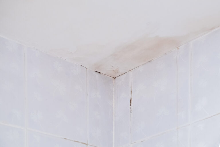 Get rid of mold in the bathroom