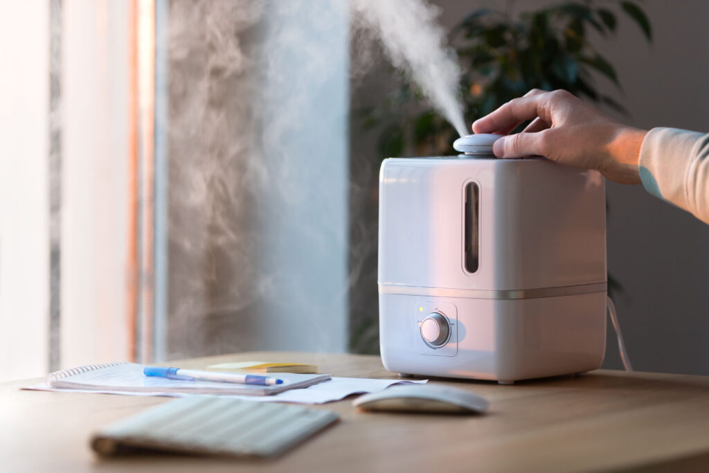 Clean a Humidifier