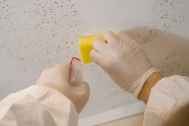 Best way to clean ceilings