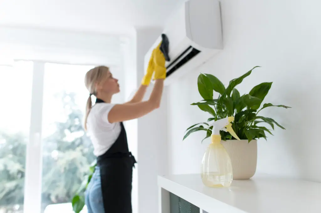 Cost of recurring home cleaning
