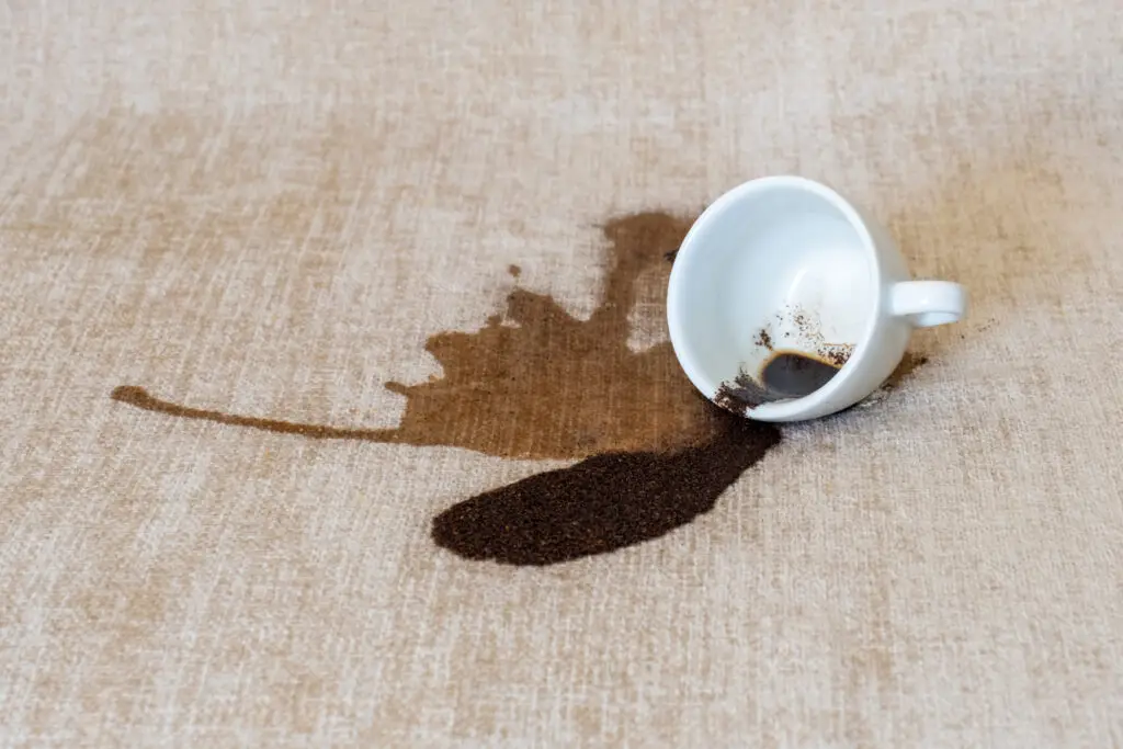 How do you get chocolate milk out of the carpet
