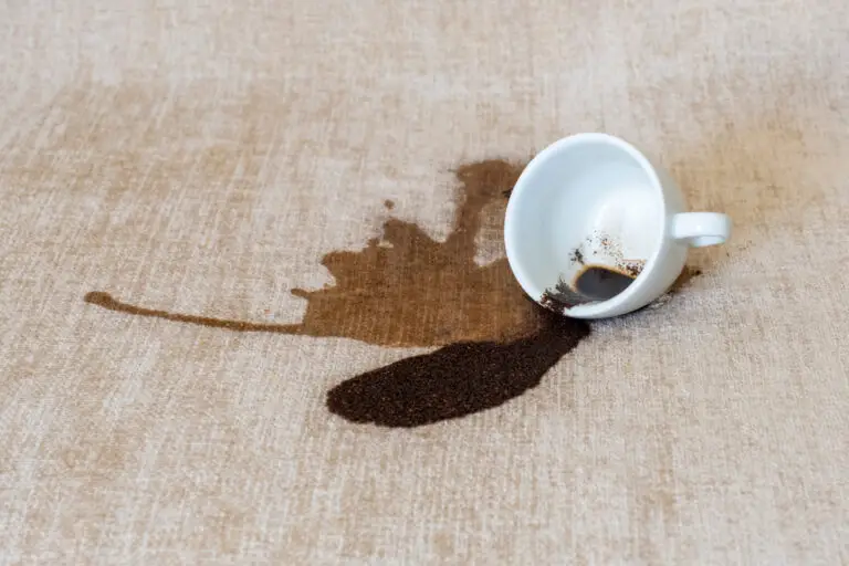 How do you get chocolate milk out of the carpet