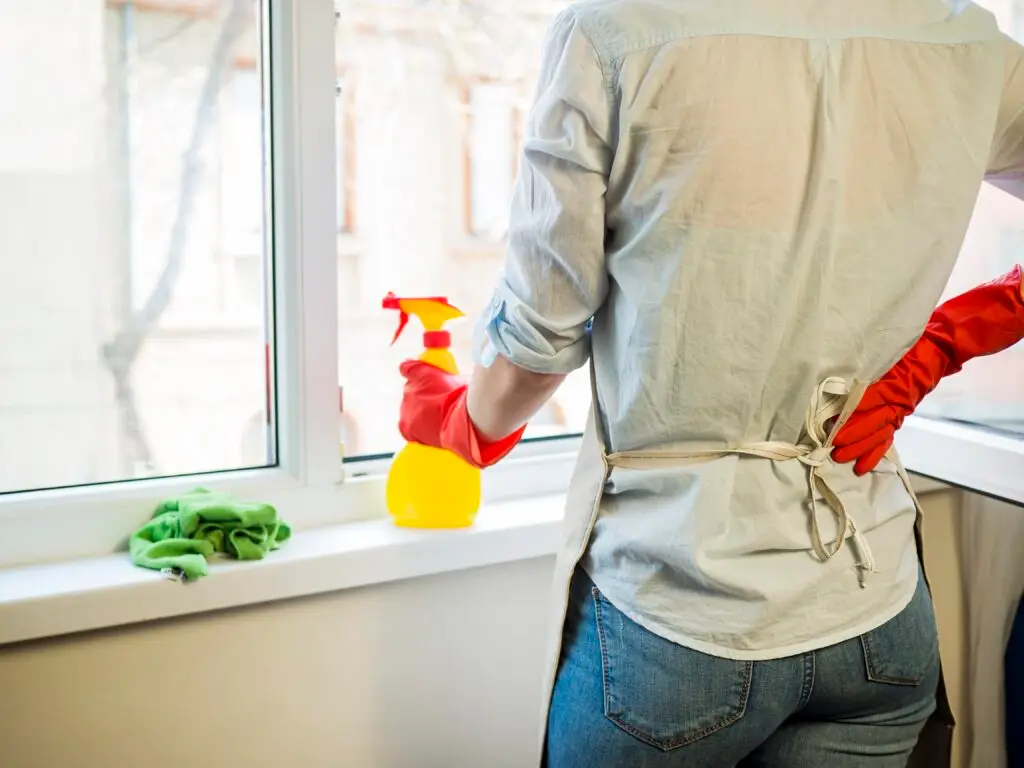 How to get rid of black mold on windows