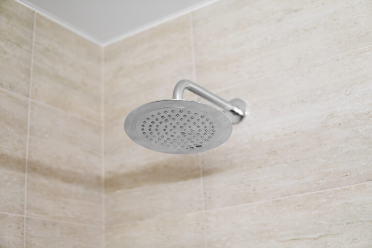 How to prevent black mold in the shower