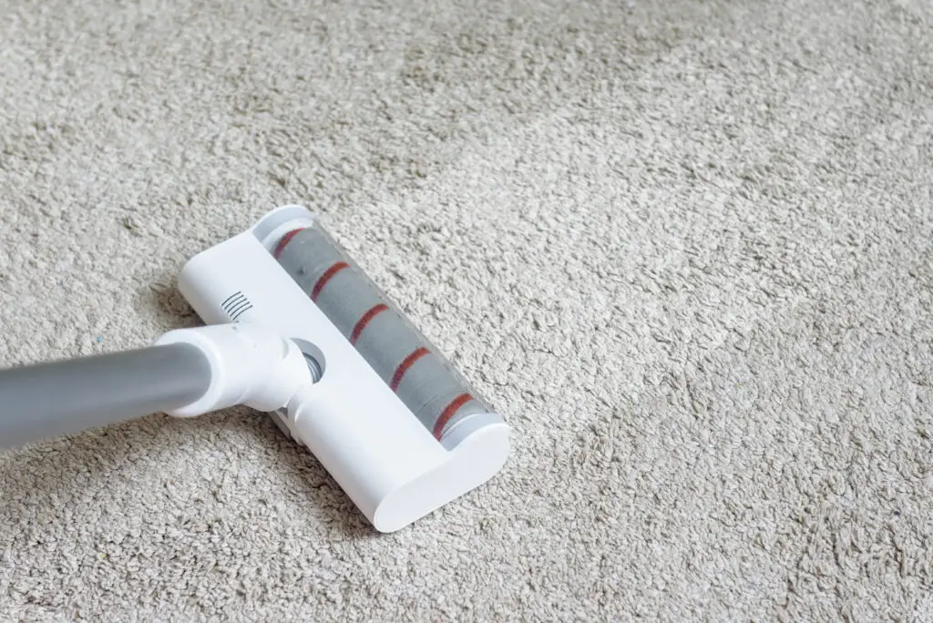 Carpet Cleaning Cost Guide