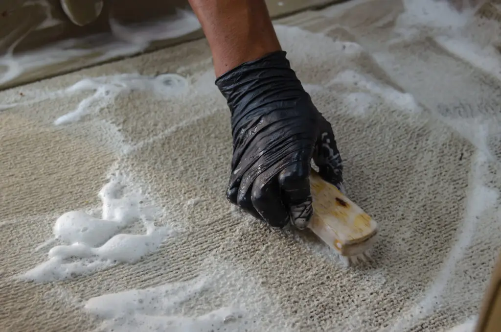 Clean Dog Pee from Carpet