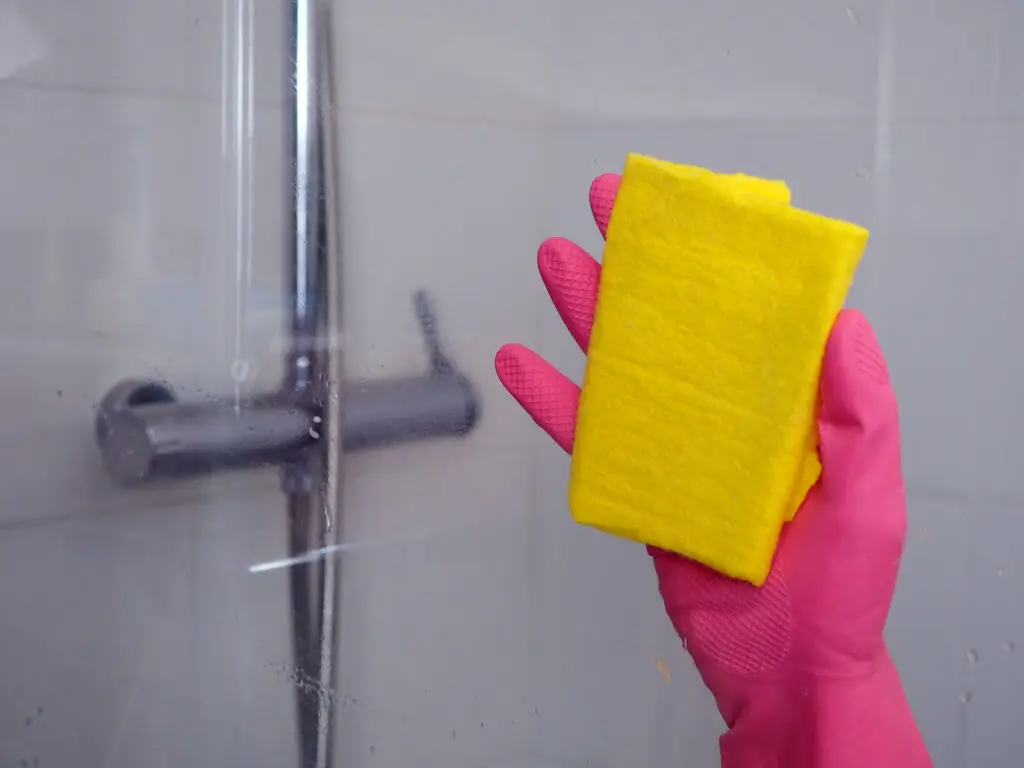 How to Clean Glass Shower Doors
