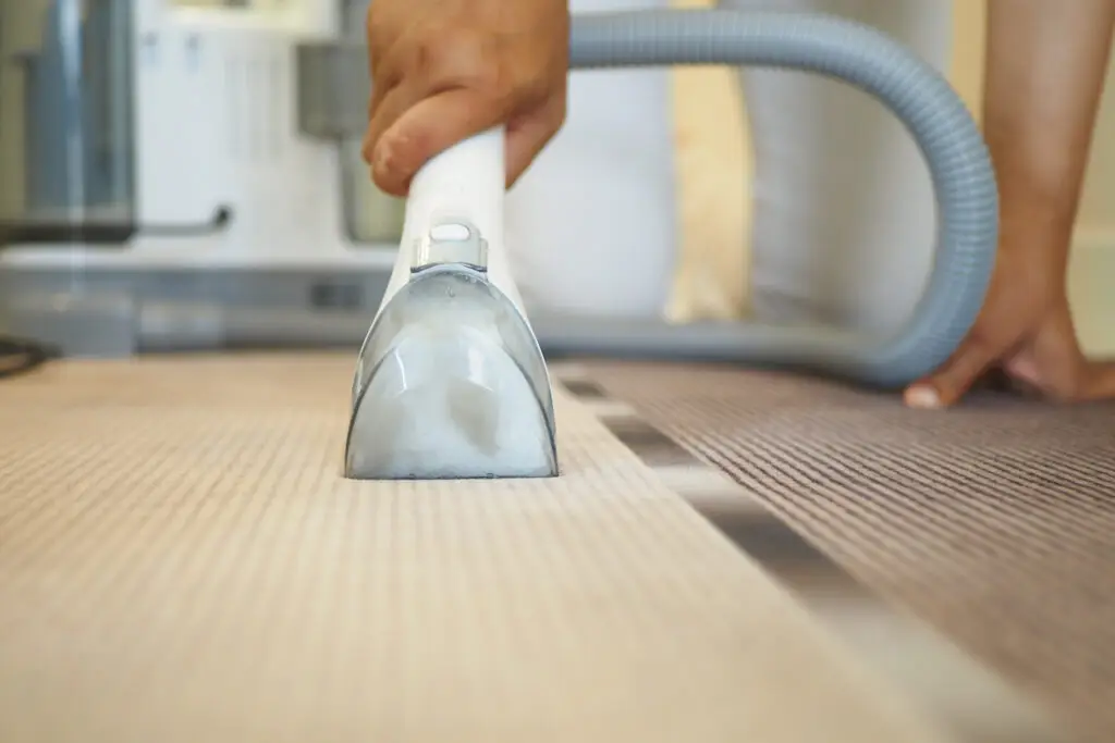 Remove Urine Smell from Carpet