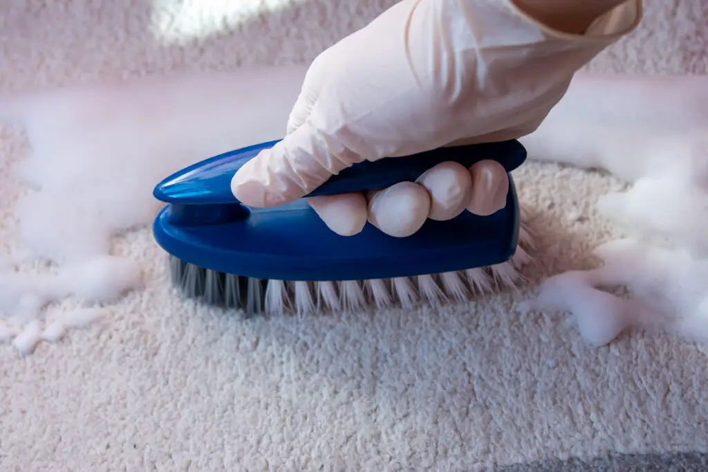 How to Clean Vomit from Carpet