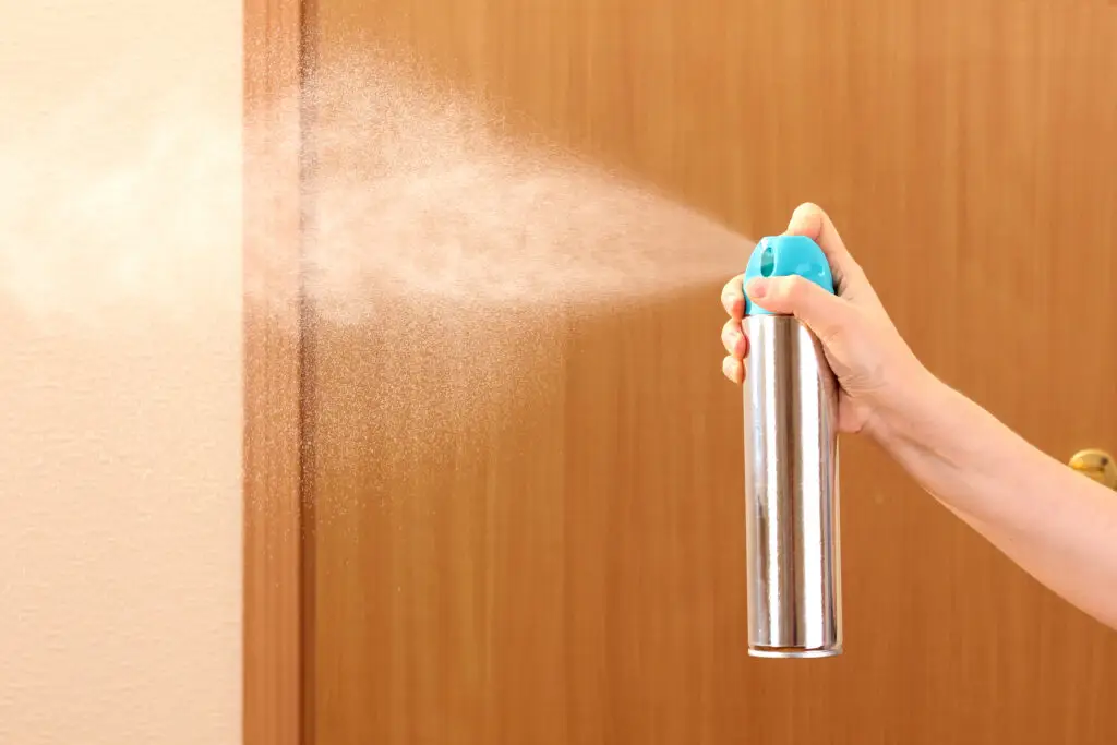 How to get rid of gnats in the home