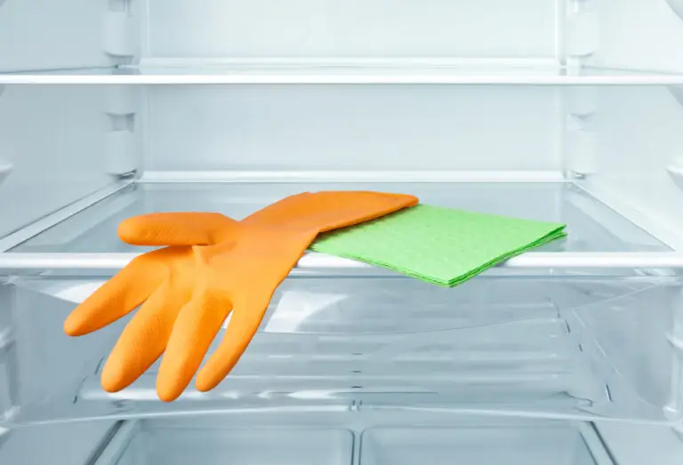 How to Clean Mold from Refrigerator Seals Safely