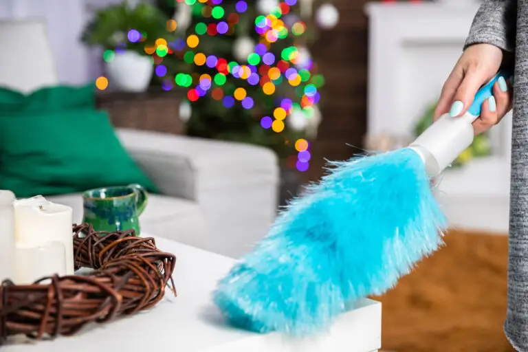 Holiday Cleaning Service