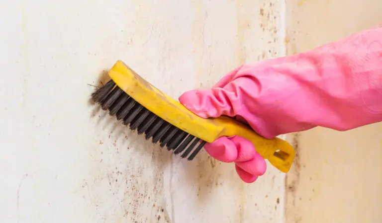 Clean Mold with Borax
