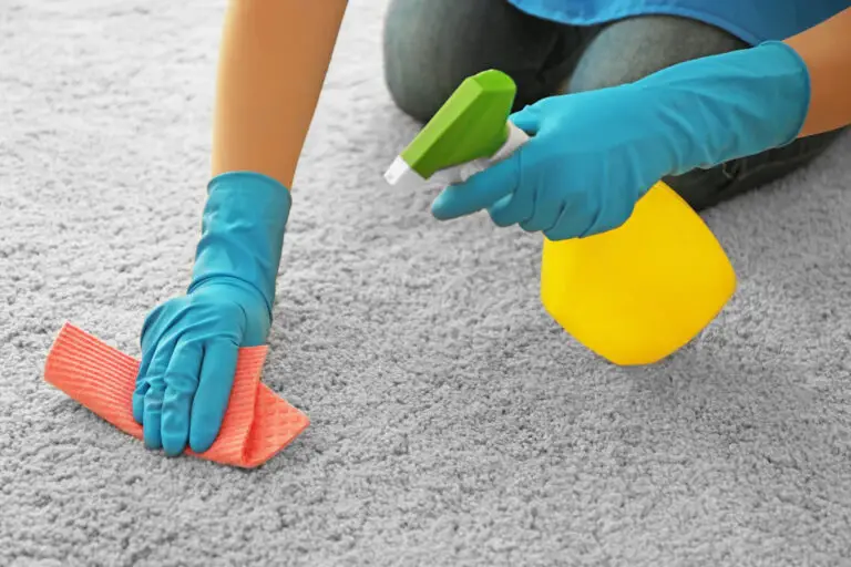How to Dry Carpet After Cleaning in Winter