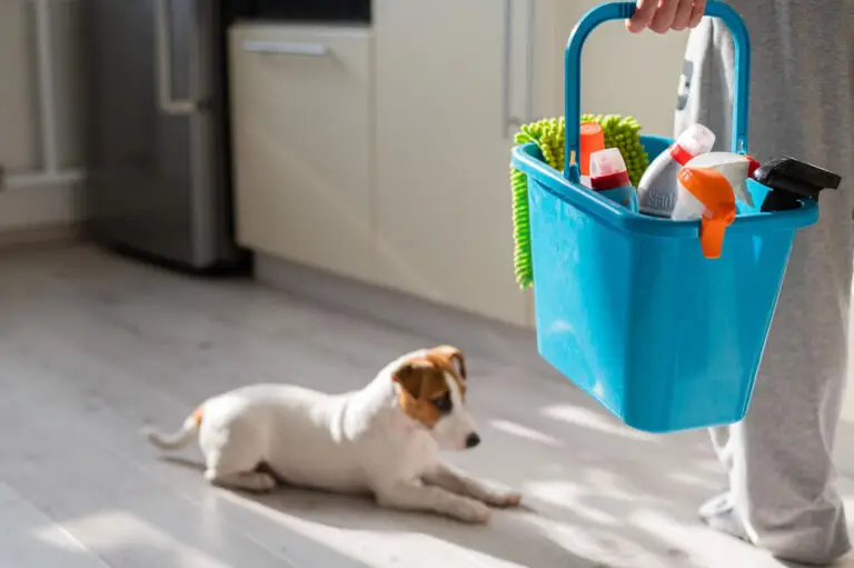 Pet Friendly House Cleaning