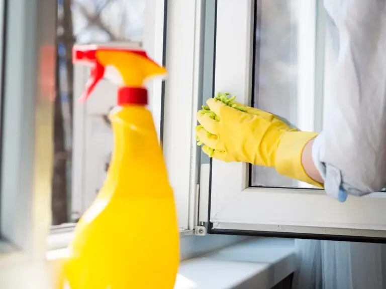 Window Washing