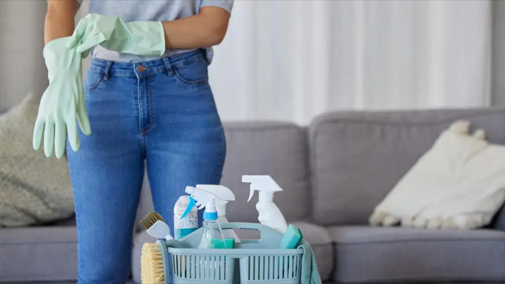 spring cleaning services