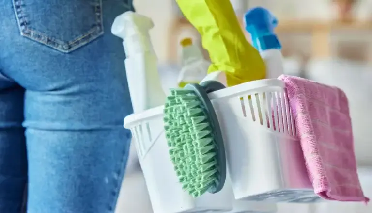 Person holding cleaning supplies